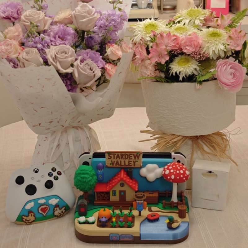حامل شحن زخرفي بتصميم Stardew  - مراجعة Gaming Console Setup وسعره